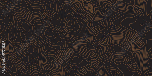 Elegant dark contour line pattern resembling topographic map design. Abstract wavy lines creating a modern, minimal texture. Perfect for backgrounds, wallpapers, or branding visuals.