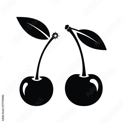 Two ripe cherries with stems and leaves