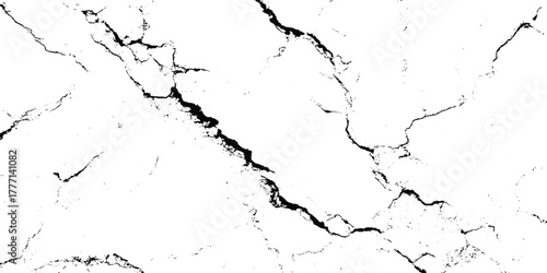 Abstract Black and White Marble Vein Texture Pattern.