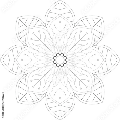 Detailed floral mandala design for coloring book art therapy