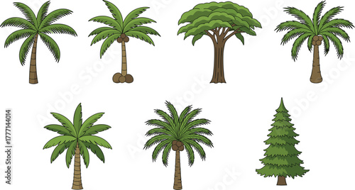 Palm trees, coconut trees, tropical foliage, conifer tree, cartoon forest, exotic plants, tree icons, nature elements, flat vector illustration