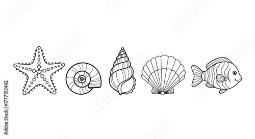 Collection of minimalist line art vector illustrations featuring marine life, including a starfish, fish, and diverse seashells.