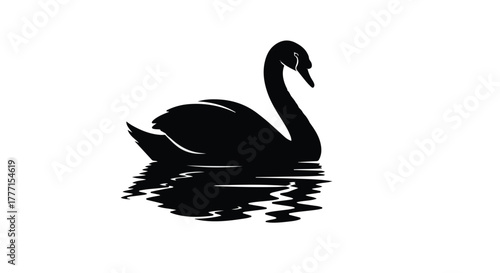 Elegant black swan glides gracefully on rippling water with reflection