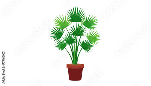 Potted Fan Palm Houseplant Vector Illustration
