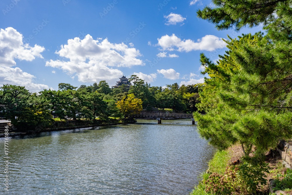 Fototapeta premium 松江城の宇賀橋の風景