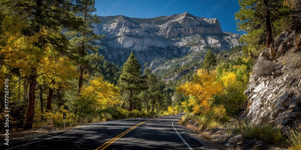 Fototapeta premium Springtime at Mount Charleston: A Majestic Nevada Landscape Surrounded by Forests and Trees