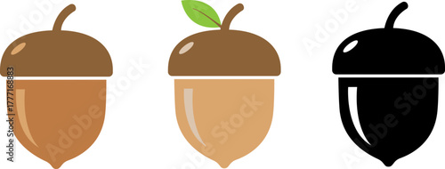 Set of acorns illsutration for icon design