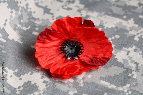 Poppy flower on military un...