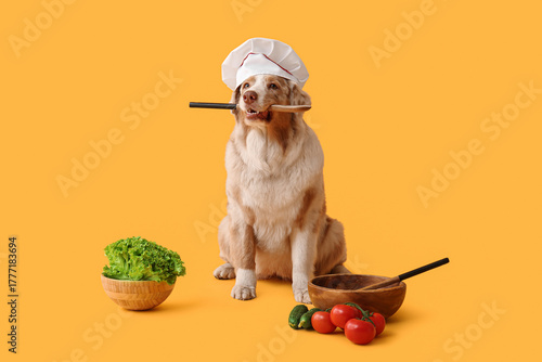 Cute Australian Shepherd do...