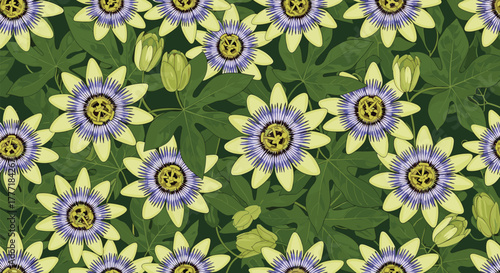 Elegant tropical floral seamless pattern with exotic passion flowers in bloom, accented by green leaves and buds on a deep green backdrop.