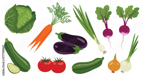 A colorful collection of fresh farm vegetables such as cabbage, carrots, zucchini, eggplants, tomatoes, onions, scallions, and radishes.