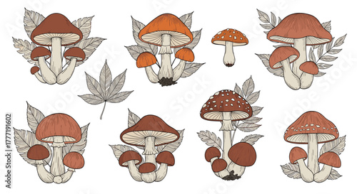 Vintage hand-drawn collection of different forest mushrooms with fall leaves, an artistic botanical illustration set.