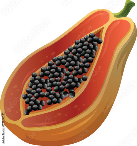 cut out half slice papaya tropical fruit