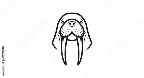 A minimalist black and white illustration of a walrus's face with prominent tusks and whiskers.