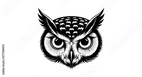 A striking black and white illustration of an owl's face with intense eyes and detailed feather patterns.
