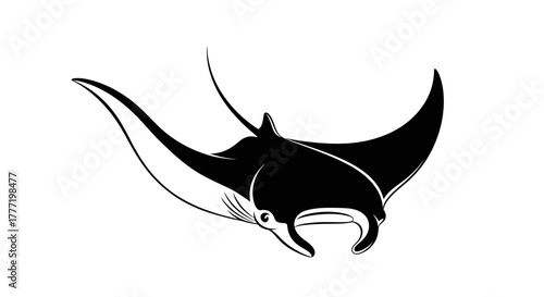Black and white illustration of a majestic manta ray swimming gracefully underwater, showcasing its distinctive shape and fins.
