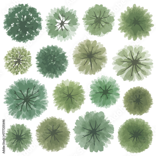Watercolor top view trees set for architectural landscape design