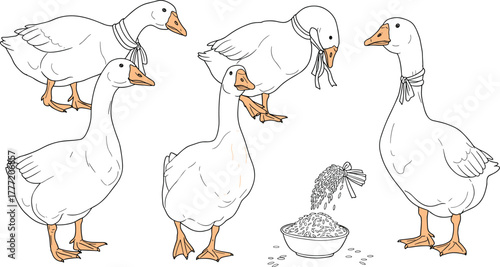 Funny geese teamwork around food bowl, standing on each other, farm birds eating grains, humorous animal behavior, countryside poultry feeding scene