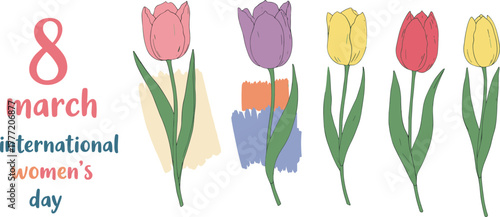 International Women’s Day celebration vector, colorful tulip flowers, March 8 design, festive spring floral illustration, equality concept, feminine empowerment art