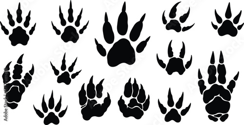 Animal paw print silhouettes, black vector footprints of wild and domestic species, isolated icons for tracking, wildlife education, pet design, nature art