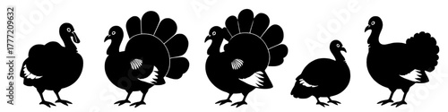 Five turkey silhouettes are arranged on a white background. Some turkeys feature prominent tail feathers while others have smaller tails. The turkeys all face left, except for one which faces right.
