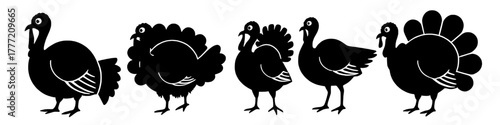a collection of turkey silhouettes in various poses, perfect for thanksgiving illustrations. Vector stock.