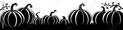 A black and white illustration featuring a row of pumpkins of varying sizes, a small black cat sitting atop one, and bats flying in the background, all in silhouette on a transparent background png.