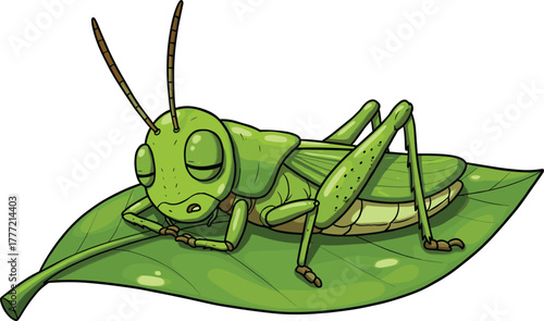 Cartoon green grasshopper sleeping peacefully on leaf, cute insect illustration, relaxing nature scene, children’s drawing, peaceful bug artwork, vector
