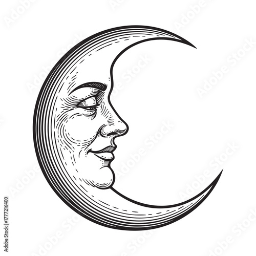 Crescent Moon Engraving Vector Illustration