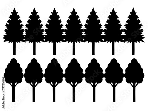 A symmetrical arrangement of evergreen and deciduous trees in a two row formation line up silhouette