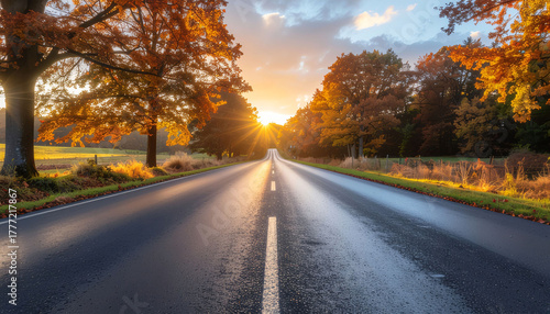 Wallpaper Mural Drive into a vibrant autumn sunset on an open road surrounded by colorful trees, perfect for travel inspiration and scenic landscape projects today Torontodigital.ca