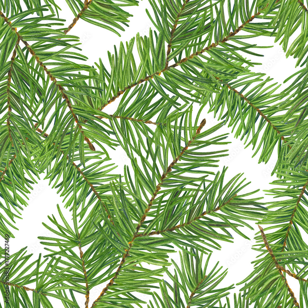 Fototapeta premium Fir branches seamless pattern for textile wrapping papers packaging designs party decorations scrapbooking. Spruce branches Illustration on transparent background.
