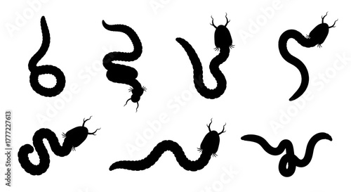 Seven worm silhouettes isolated on white background, showing different poses and movements