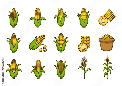 Collection of Corn Icons Fresh, Ripe, and Sweet for Harvest Season