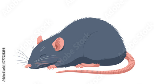 A sleepy domestic rat with grey fur, pink ears, and a long tail peacefully resting on a white background, depicted in a simple, calm illustration.