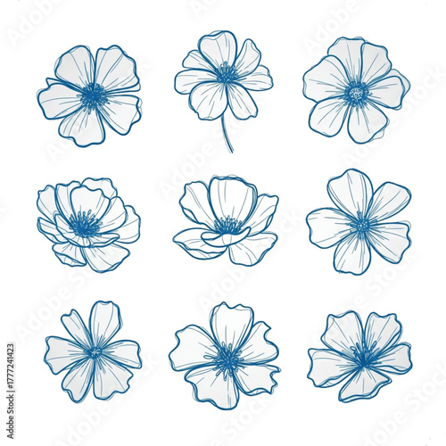 Delicate Floral Sketches: A collection of exquisite floral sketches, meticulously drawn to showcase the elegance of nature's beauty and the artistry of design.