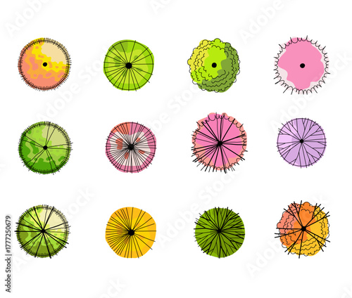 Architecture drawing plant tree top view plan greenery vegetation vector. Nature architectural landscape tree set element illustration.