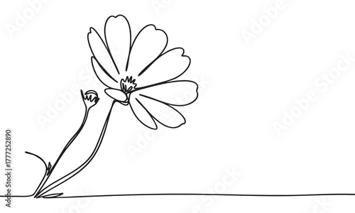 Elegant Continuous Line Drawing of a Single Flower