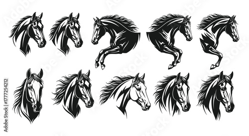 Set of horse illustrations black and white animal silhouettes perfect for design tattoo art and equestrian themes