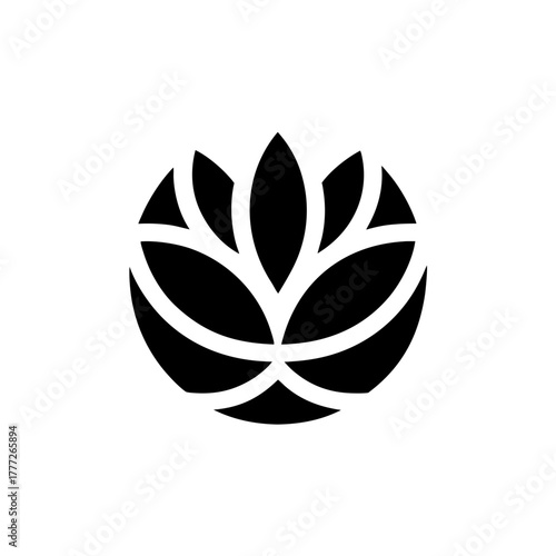 Stylized floral design in circle on transparent background silhouette