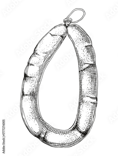 Smoked sausage ring hand drawn vector