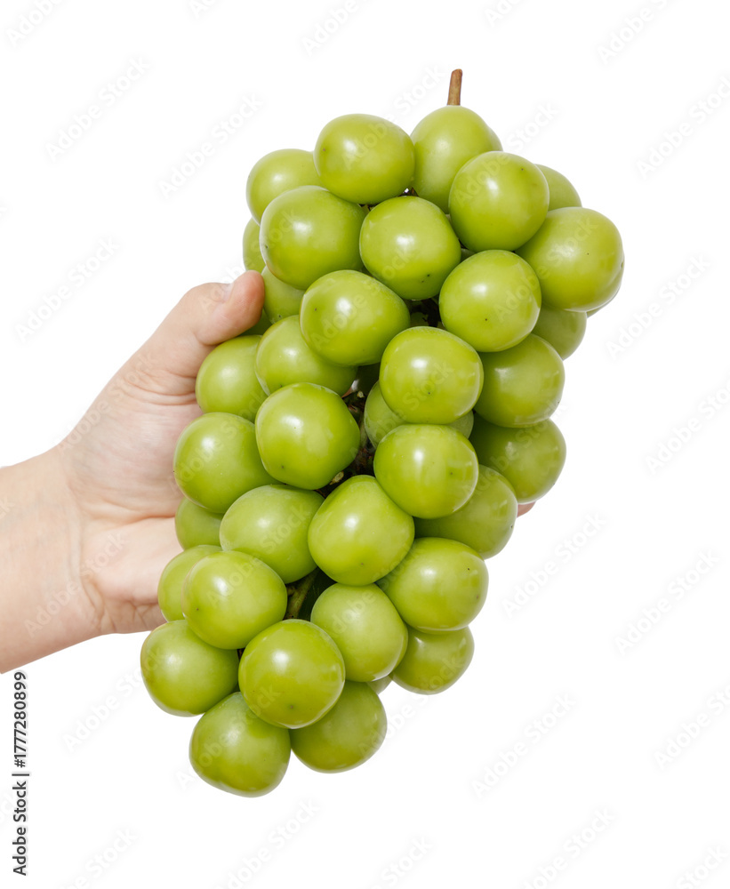 Fototapeta premium A hand holding a bunch of green grapes