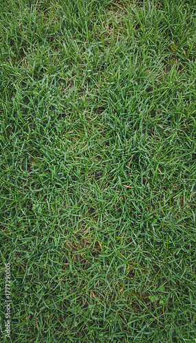 Vibrant Green Grass Blades Texture