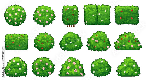 Collection of Various Green Bushes and Floral Elements for Decorative Designs