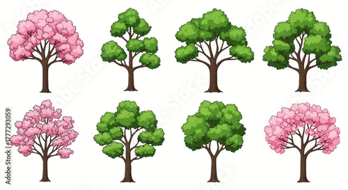 Various trees, including blooming cherry blossoms and lush green deciduous varieties, showcased in a clean graphic illustration