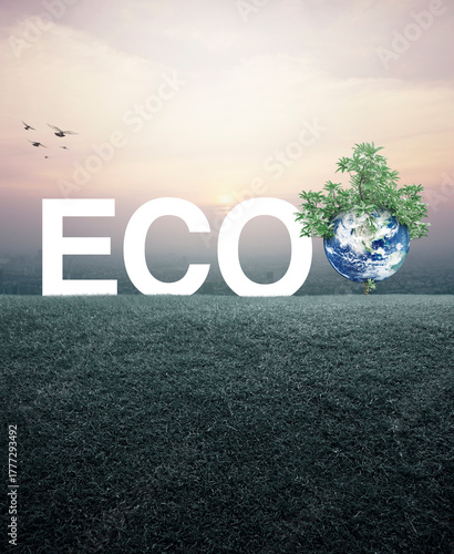 Fototapeta Naklejka Na Ścianę i Meble -  ECO letter with earth and tree on green grass field over cityscape at sunset, vintage style, Ecology saving power and energy concept, Save the earth concept, Elements of this image furnished by NASA