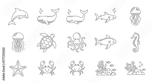 Collection of detailed hand-drawn outline illustrations featuring diverse marine animals and underwater life.