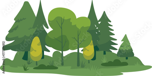 Forest landscape illustration, coniferous and broadleaf trees, green foliage, natural woodland scene, eco-friendly environment, dense forest, nature background, peaceful greenery