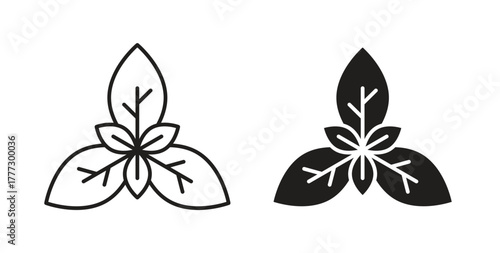 Basil icon for web and app. vector illustration eps