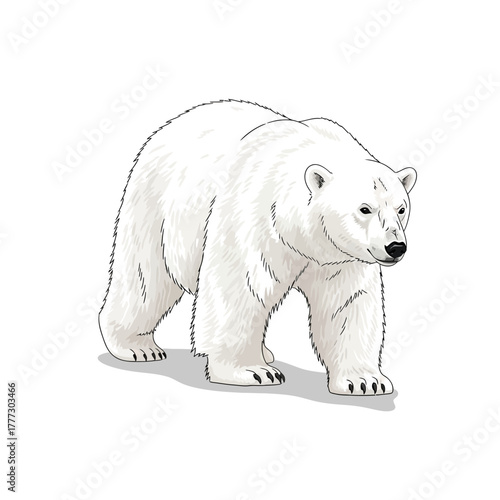 Polar Bear's Journey: A solitary polar bear, its pristine white fur blending with its arctic realm, walks with a sense of purpose. Its gaze is forward.